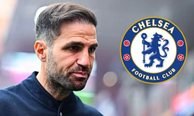Cesc Fabregas dan Kursi Panas Chelsea Sebuah Perjudian Terlalu Dini bagi Sang Maestro Como